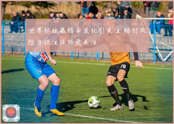 世界杯独赢赔率变化引关注 赔付风险与投注技巧受关注