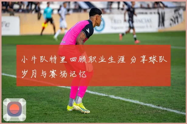 小牛队特里回顾职业生涯 分享球队岁月与赛场记忆